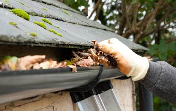 gutter cleaning Hagley