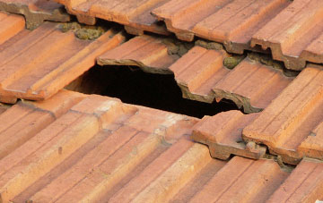 roof repair Hagley